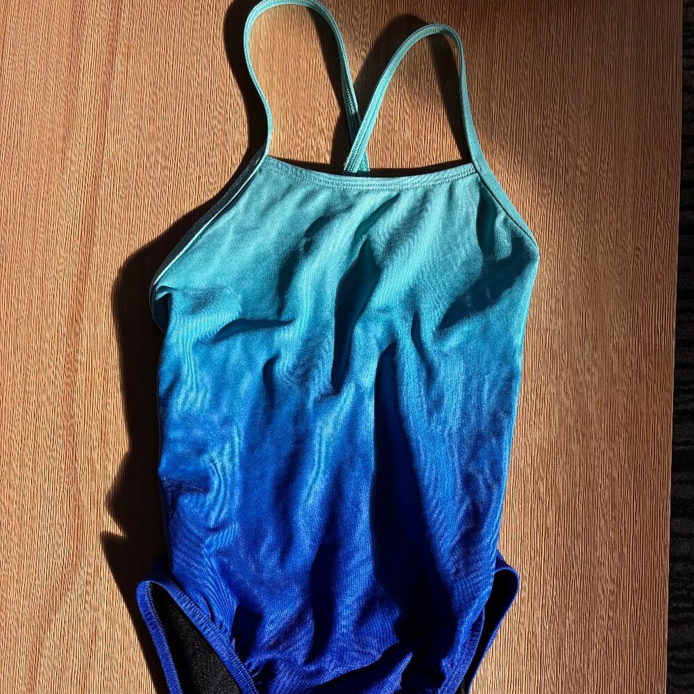 Jolyn Brandon women's size 26 blue ombré swimsuit new without tags